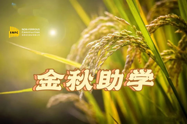 金秋時(shí)節(jié)，照亮追夢之路！